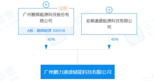 鵬輝能源參股設(shè)立儲(chǔ)能公司，加碼信息系統(tǒng)集成服務(wù)布局