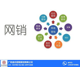 海珠區(qū)企業(yè)畫冊(cè)設(shè)計(jì)專家——凌志營銷策劃，信息系統(tǒng)集成服務(wù)優(yōu)質(zhì)商家